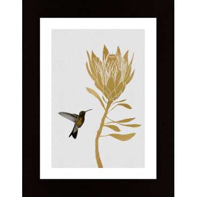 Hummingbird Flower I Poster