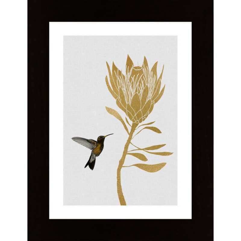 Hummingbird Flower I Poster
