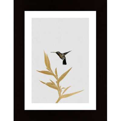 Hummingbird Flower Ii Poster