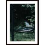 Hungry Little One Poster