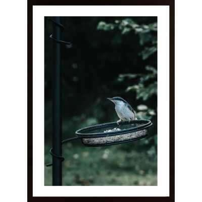 Hungry Little One Poster
