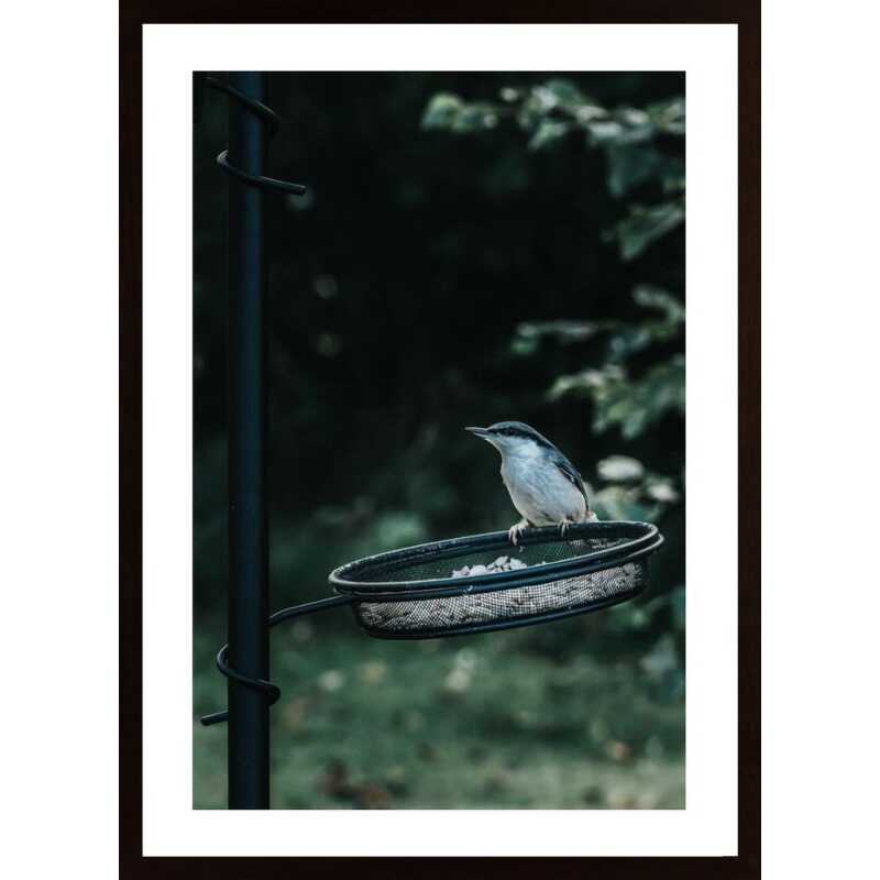 Hungry Little One Poster