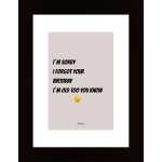 I'M Sorry I Forgot Your Birthday Poster