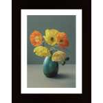 Icelandic Poppy Still Life Poster