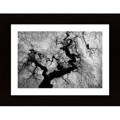 If On A Winters Day Poster