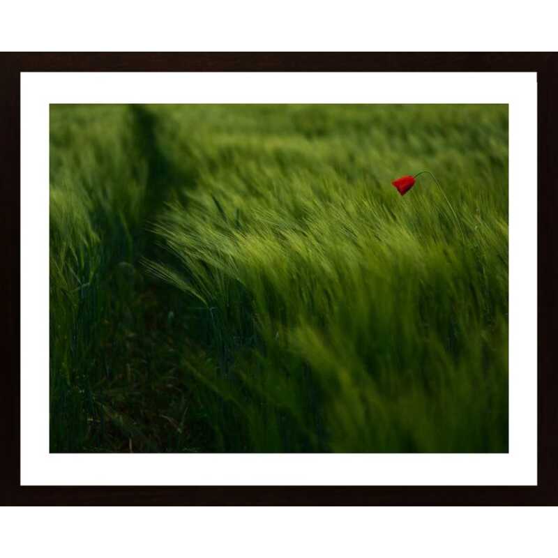 In The Wind Poster
