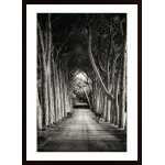 Into The Wilderness Poster