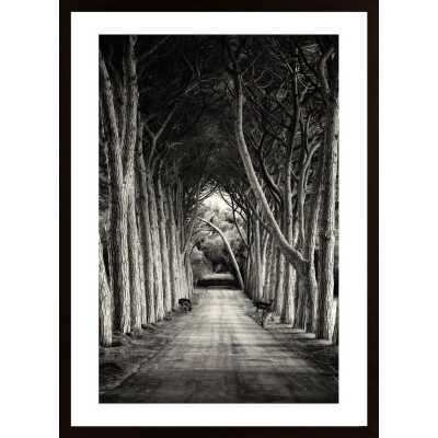 Into The Wilderness Poster