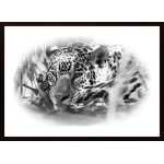 Jaguar Relaxing Poster