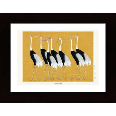 Japanese Red Crown Crane Poster