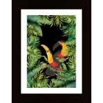 Jungle With Toucans Poster