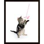 Kitten Poster