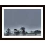 Landscapes Poster