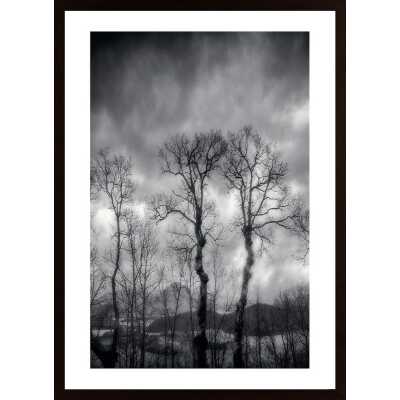 Last Days Poster
