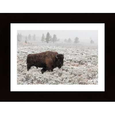 Late Fall Yellowstone Poster