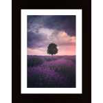 Lavender Fields Isparta Poster