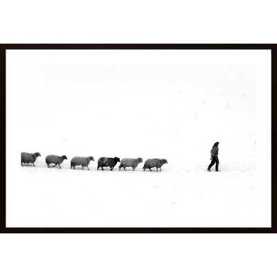 Leadersheep Poster