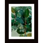 Leaves More 9 Kopie Poster