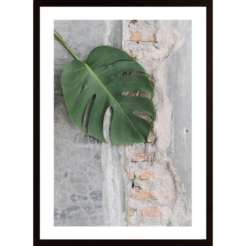 Leaves On A Textured Floor Poster