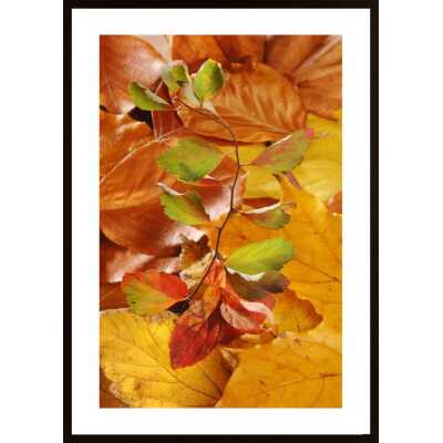 Leaves Poster