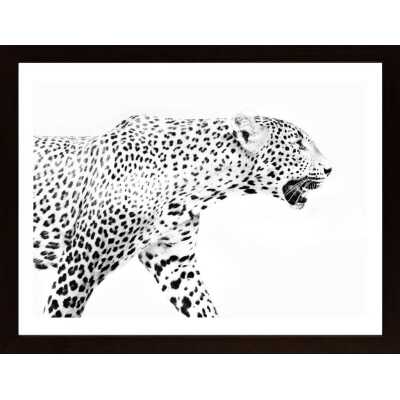 Leopard In Profile Poster
