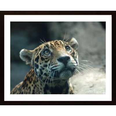 Leopard Poster