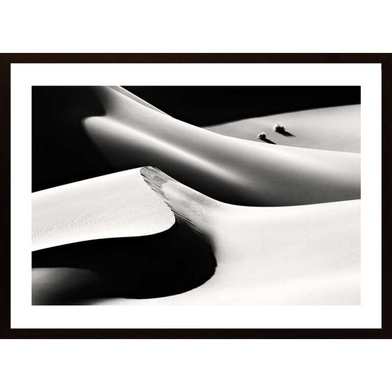 Life Poster