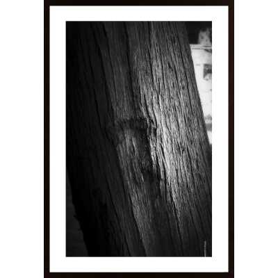 Light On Bark Poster