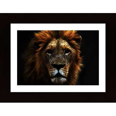 Lion King Poster