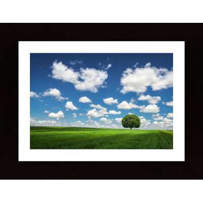 Lonely Tree Poster