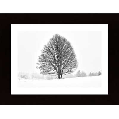 Lonely Tree Poster
