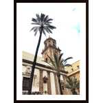 Looking Up In Cadiz Poster