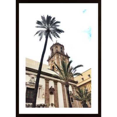 Looking Up In Cadiz Poster