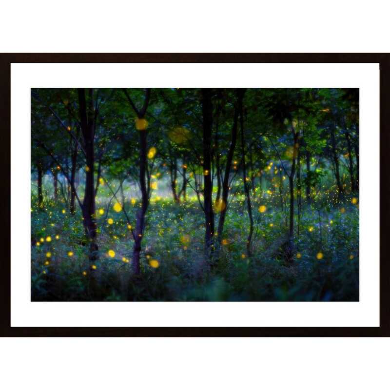 Magic Fireflies Poster