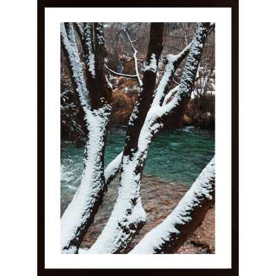 Magic Tree Poster