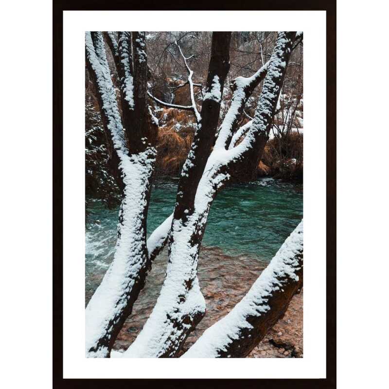 Magic Tree Poster Magic Tree Poster