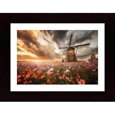 Magnificent Flower World Poster