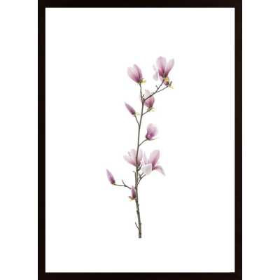 Magnolia Flower Poster