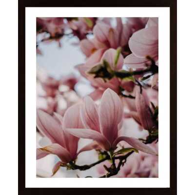 Magnolia Poster