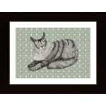 Maine Coon Poster