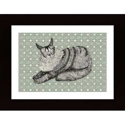 Maine Coon Poster