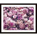 Many Roses Poster