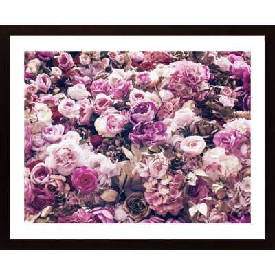Many Roses Poster