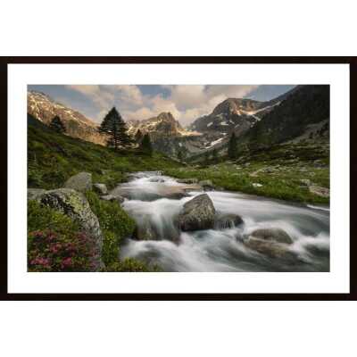 Maritime Alps Park Poster