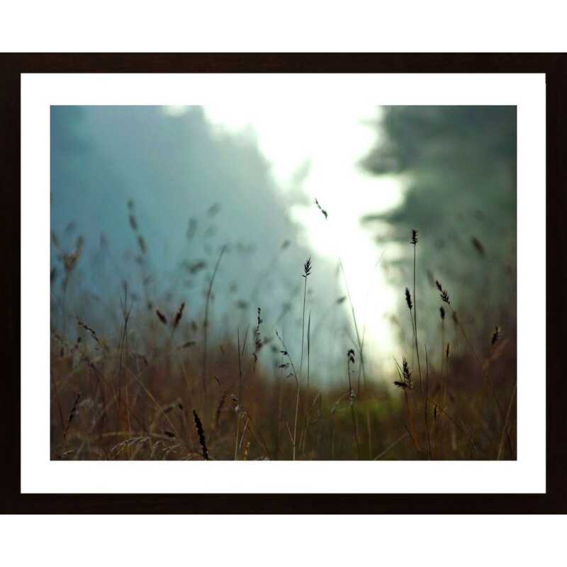 Meadow In Morning Light 1 Poster