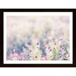 Meadow In The Morning Poster
