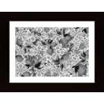 Mediterranean Summer Black White Poster