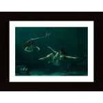 Mermaid Poster