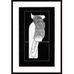 Mesquita - Cockatoo Poster