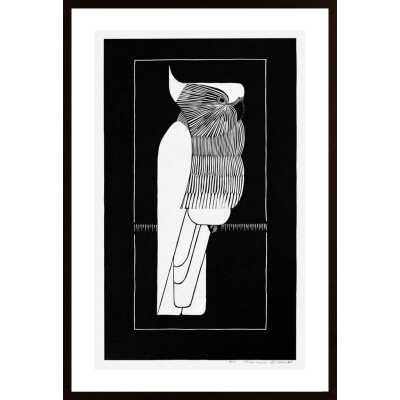 Mesquita - Cockatoo Poster